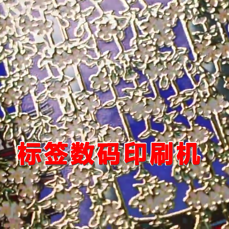 卷到卷數碼增效印刷機